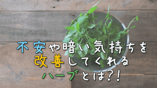 気休めなんかじゃなかった！不安や暗い気持ちを改善してくれるハーブとは？！